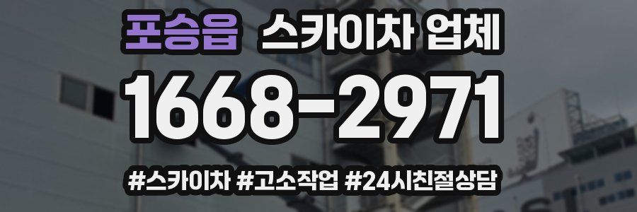 포승읍 스카이차 업체
