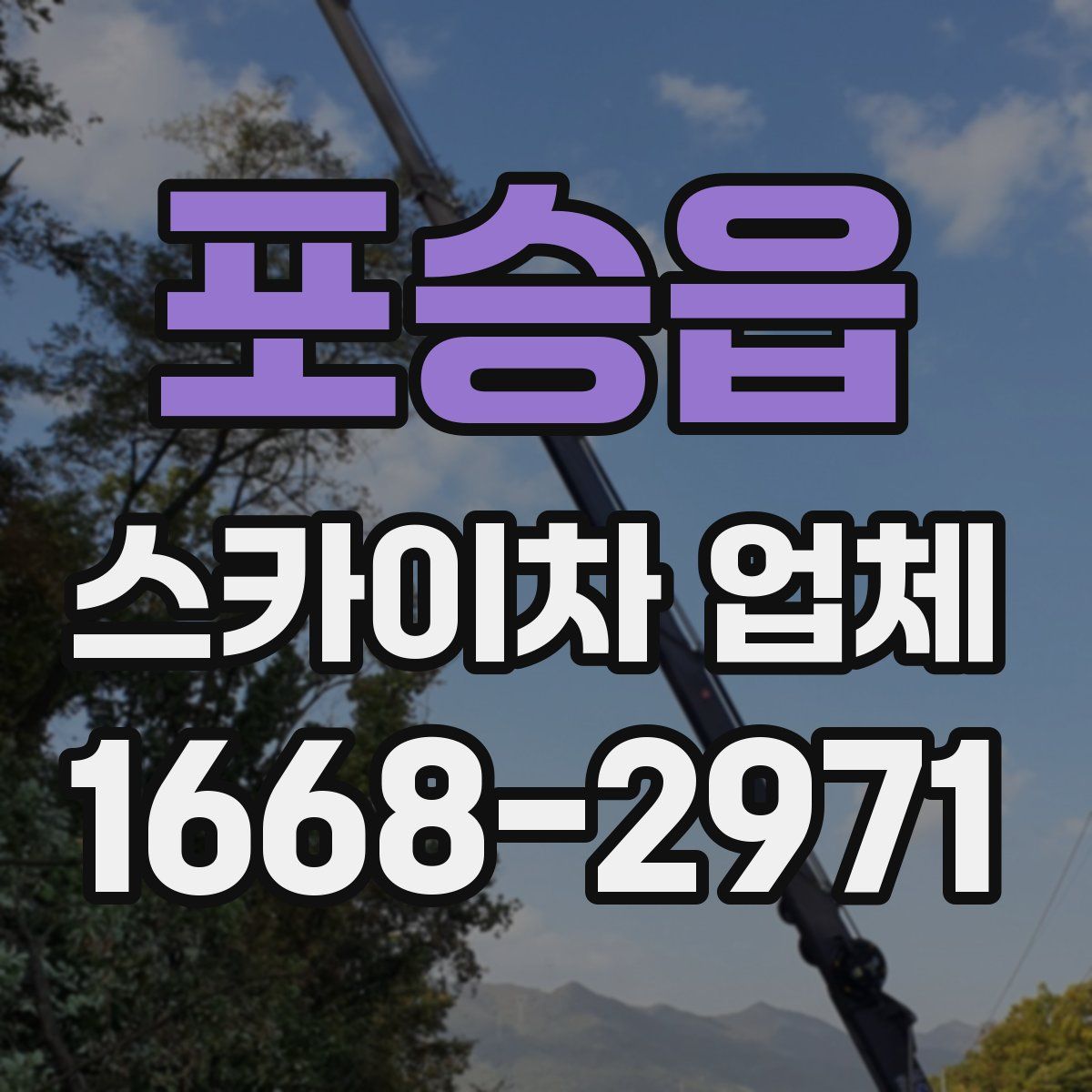 포승읍 스카이차 업체