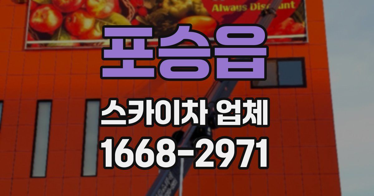 포승읍 스카이차 업체