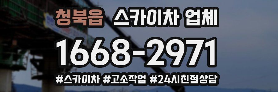 청북읍 스카이차 업체