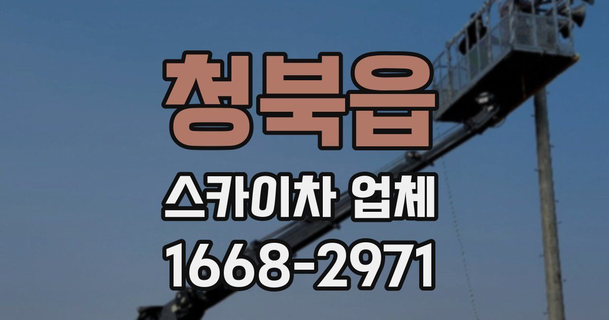 청북읍 스카이차 업체