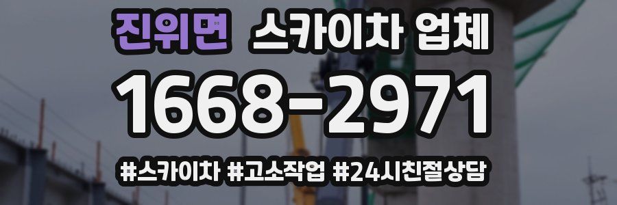 진위면 스카이차 업체
