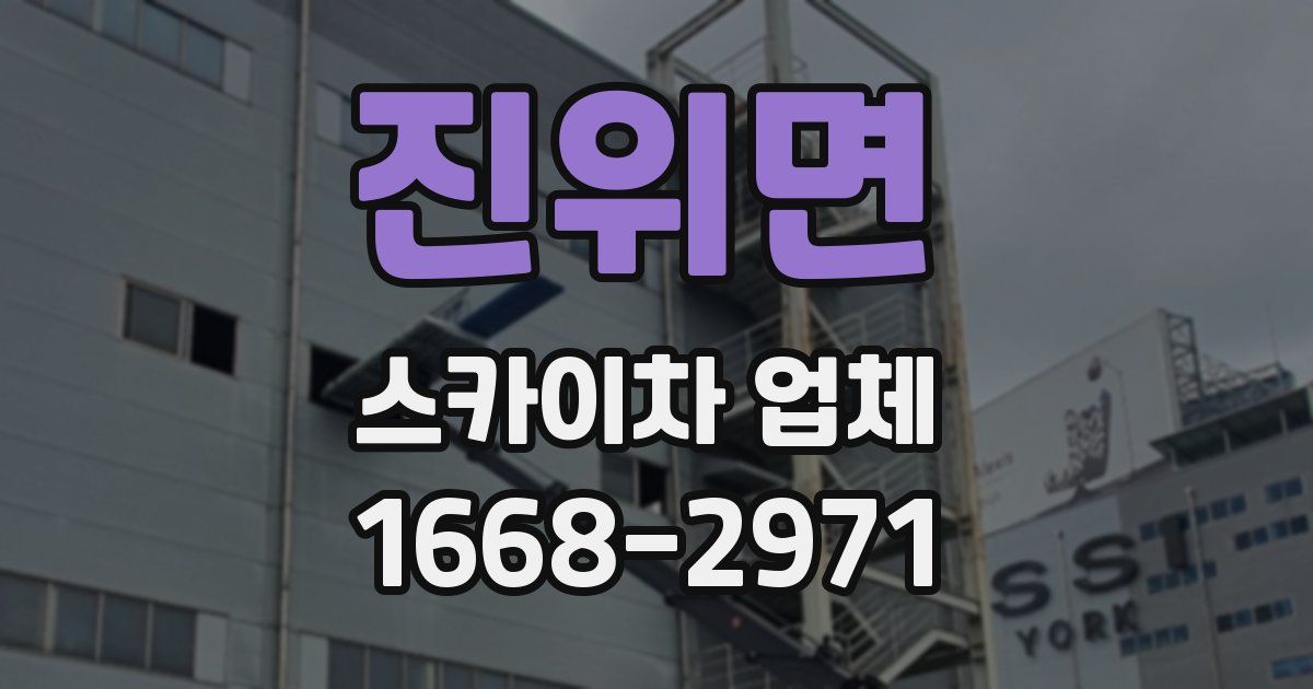 진위면 스카이차 업체