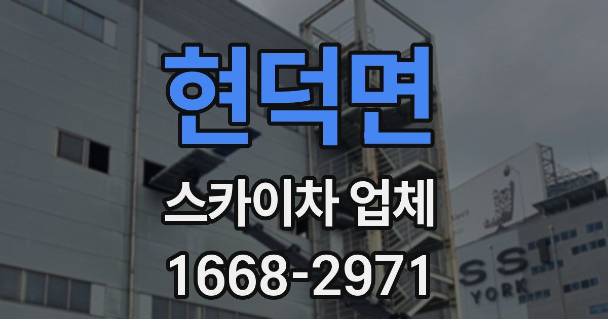 현덕면 스카이차 업체