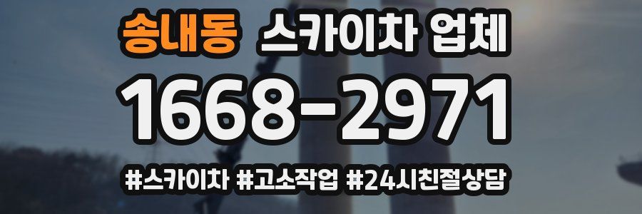 송내동 스카이차 업체