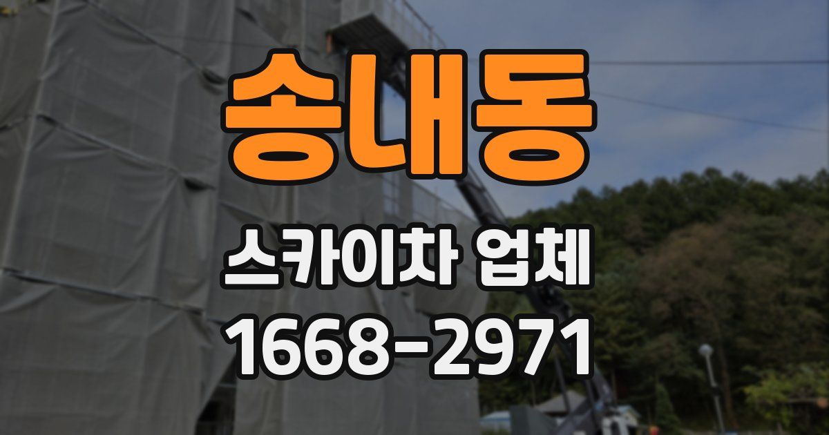 송내동 스카이차 업체