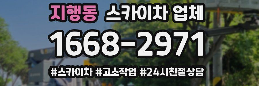 지행동 스카이차 업체
