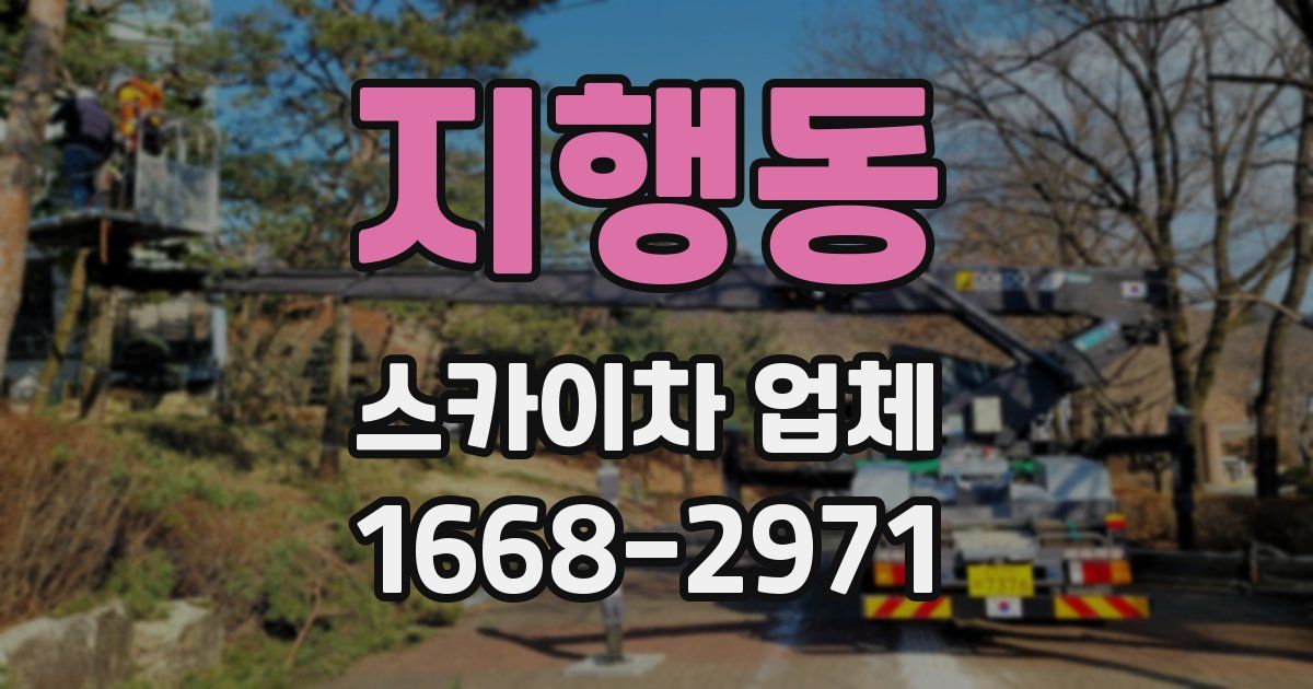 지행동 스카이차 업체