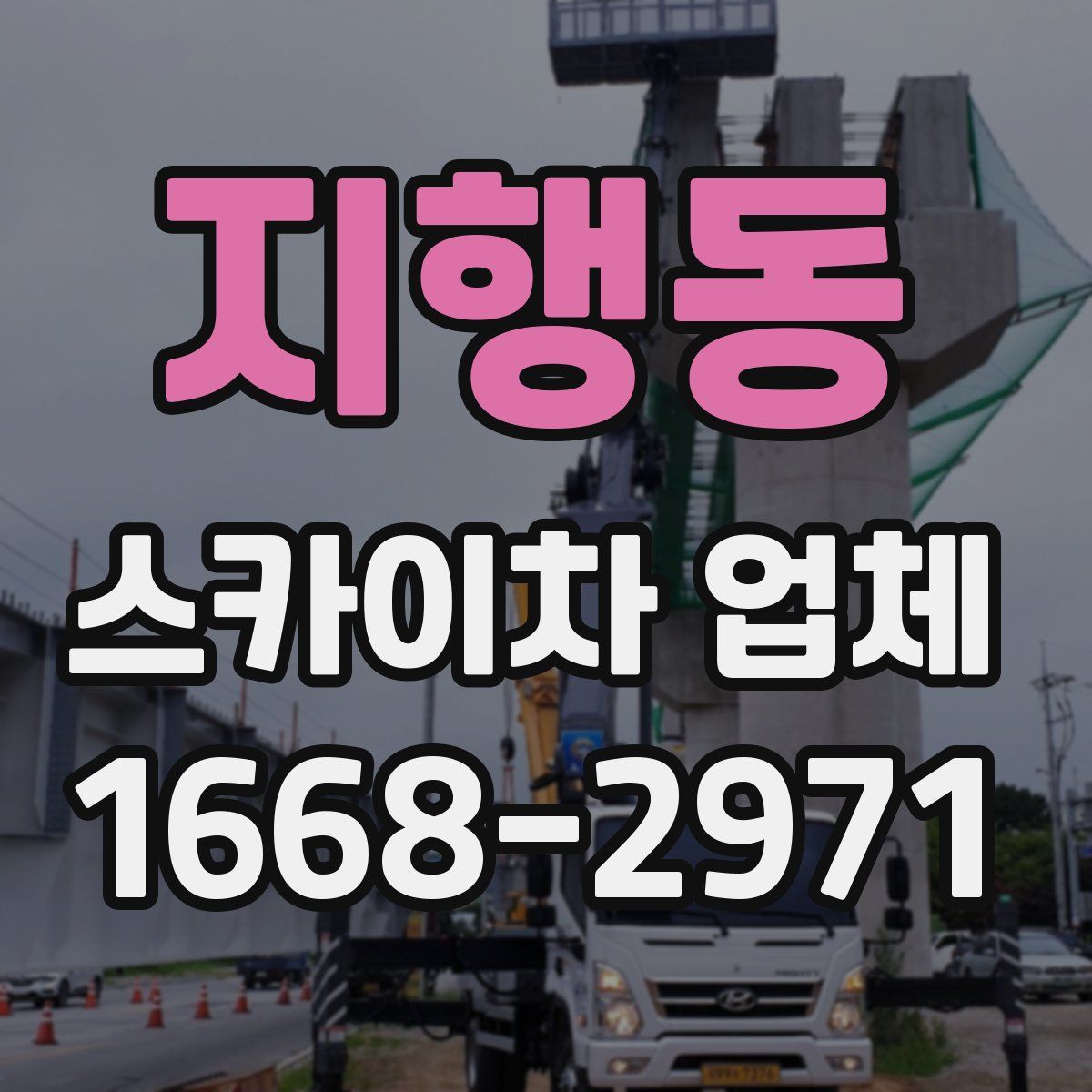지행동 스카이차 업체