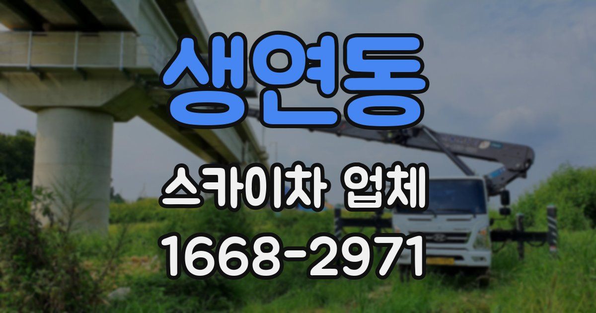 생연동 스카이차 업체