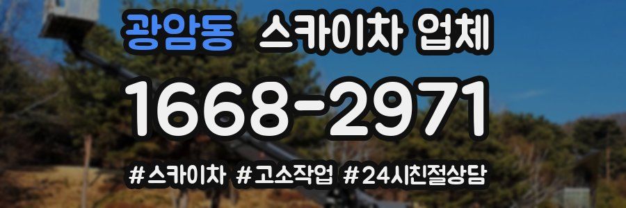 광암동 스카이차 업체