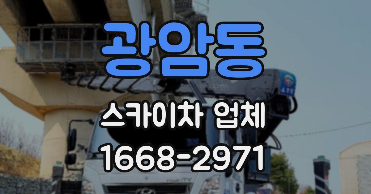 광암동 스카이차 업체