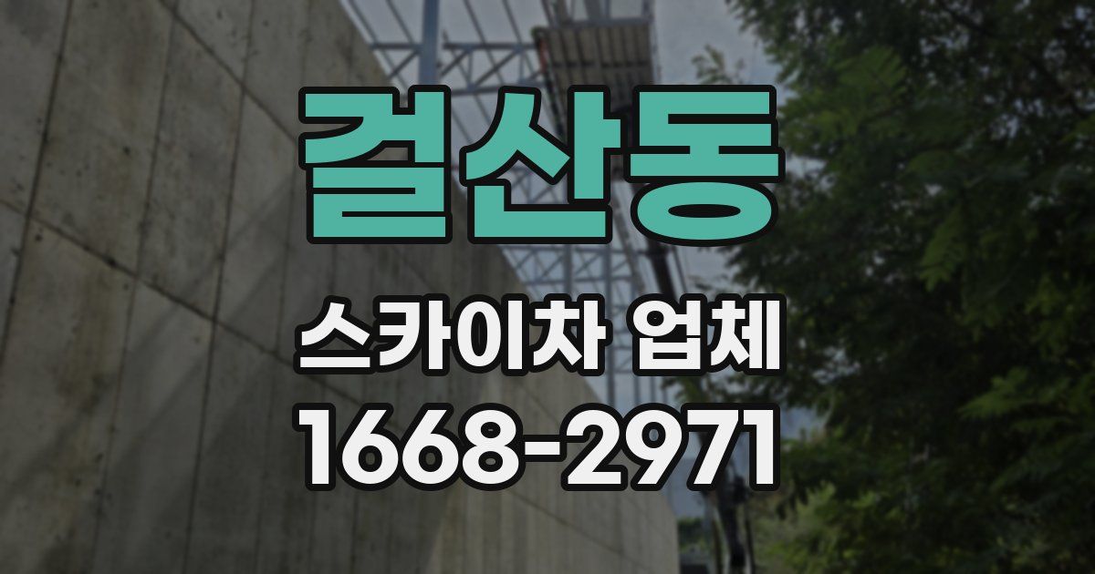 걸산동 스카이차 업체