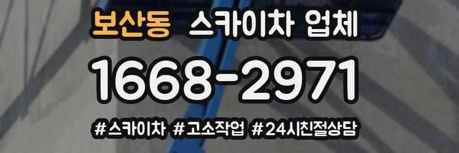 보산동 스카이차 업체