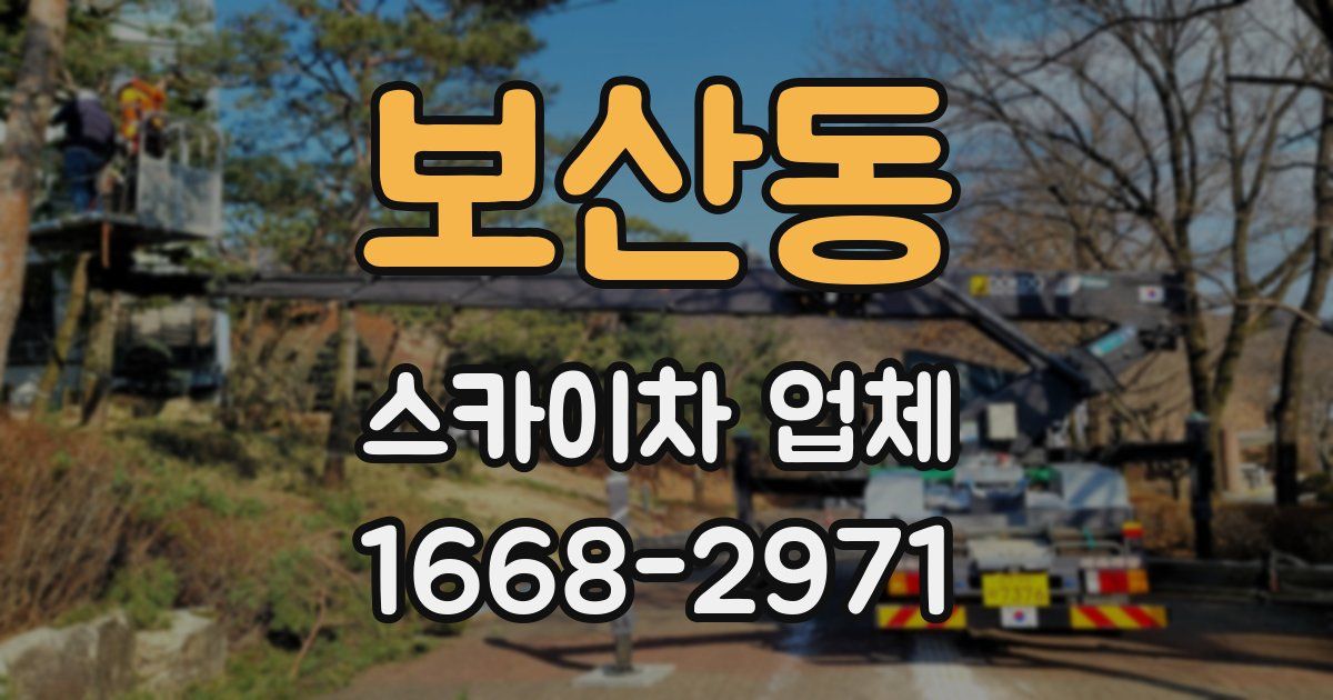 보산동 스카이차 업체