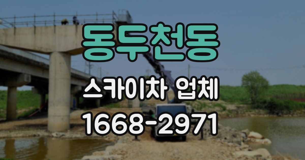 동두천동 스카이차 업체