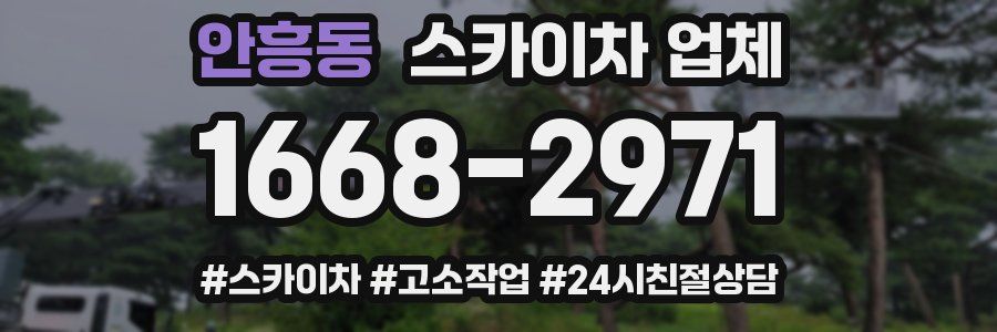 안흥동 스카이차 업체
