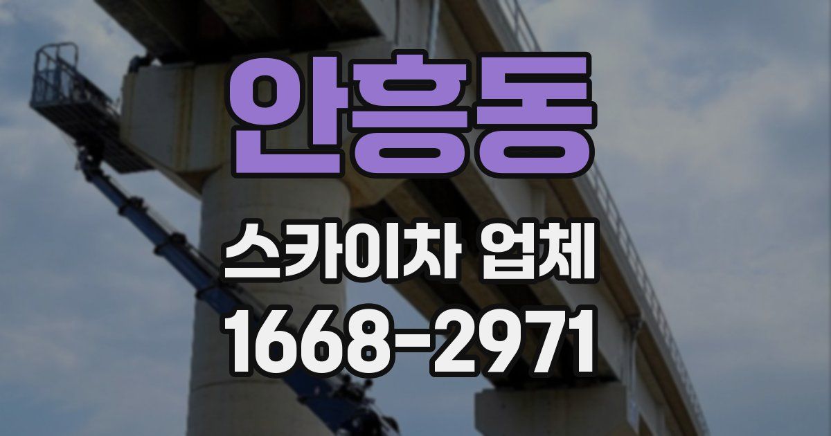 안흥동 스카이차 업체