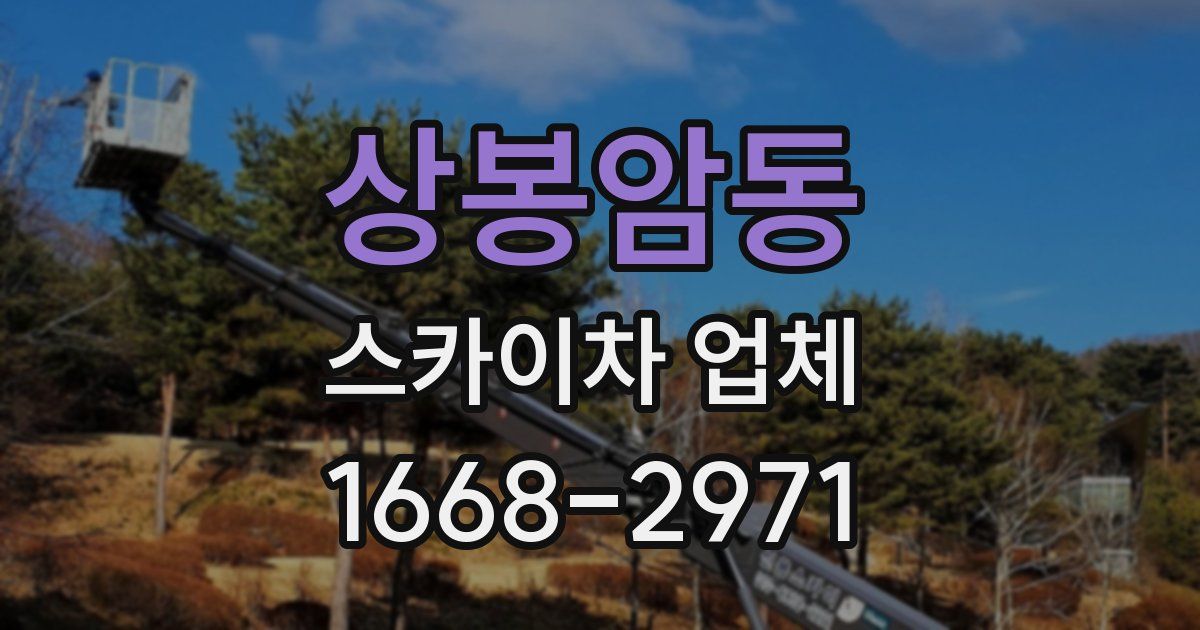 상봉암동 스카이차 업체