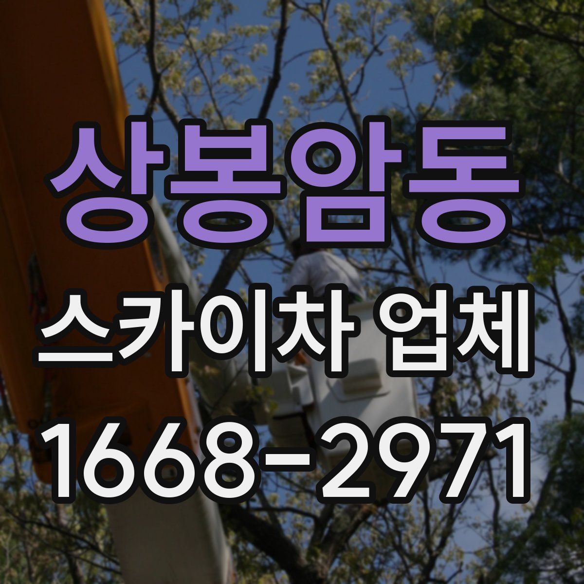 상봉암동 스카이차 업체