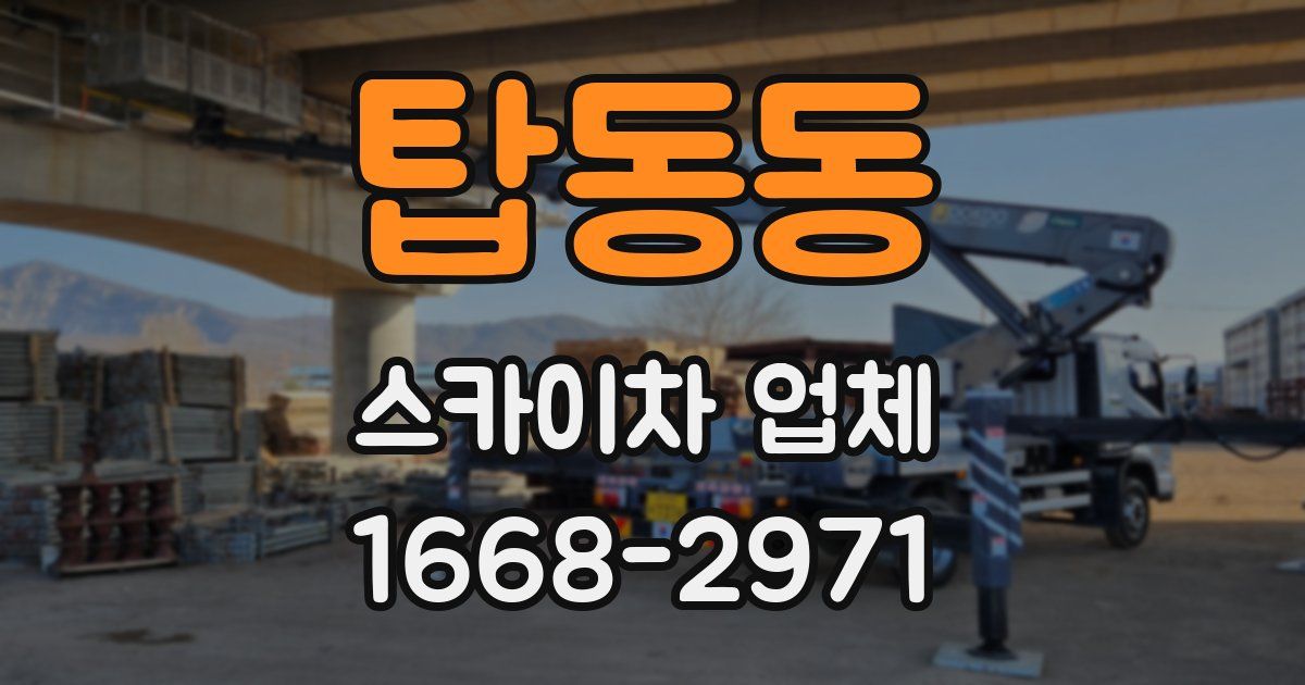 탑동동 스카이차 업체
