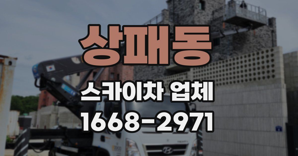 상패동 스카이차 업체