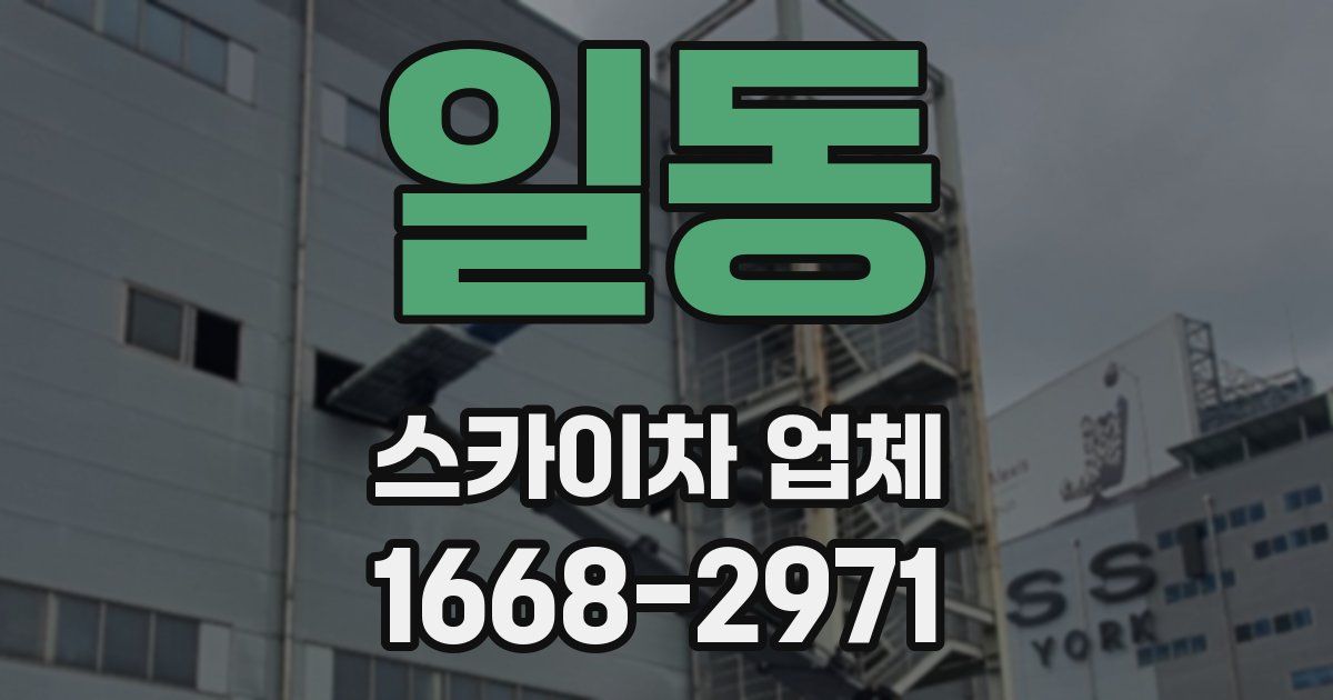 일동 스카이차 업체