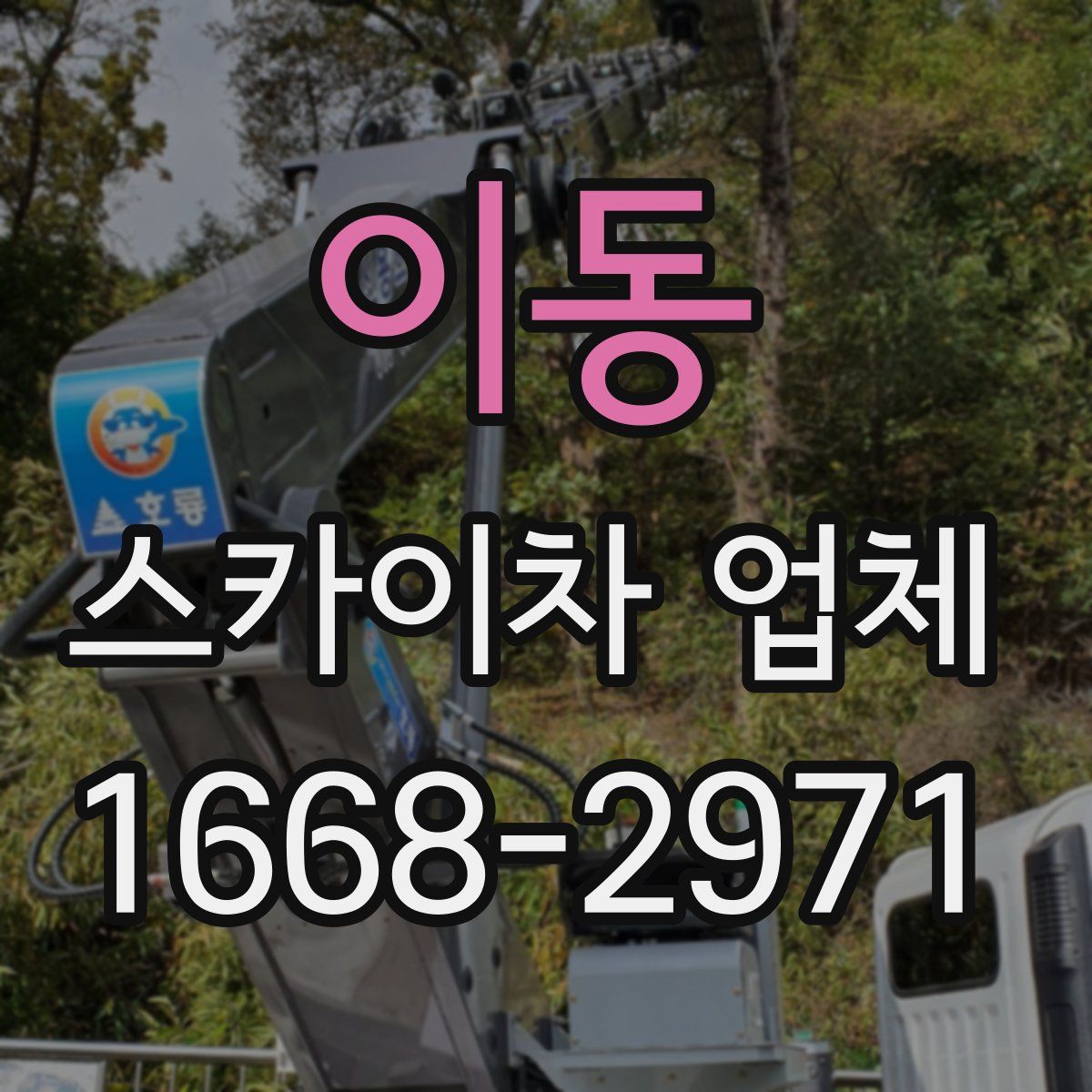이동 스카이차 업체