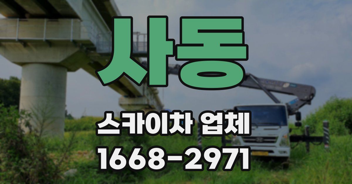 사동 스카이차 업체