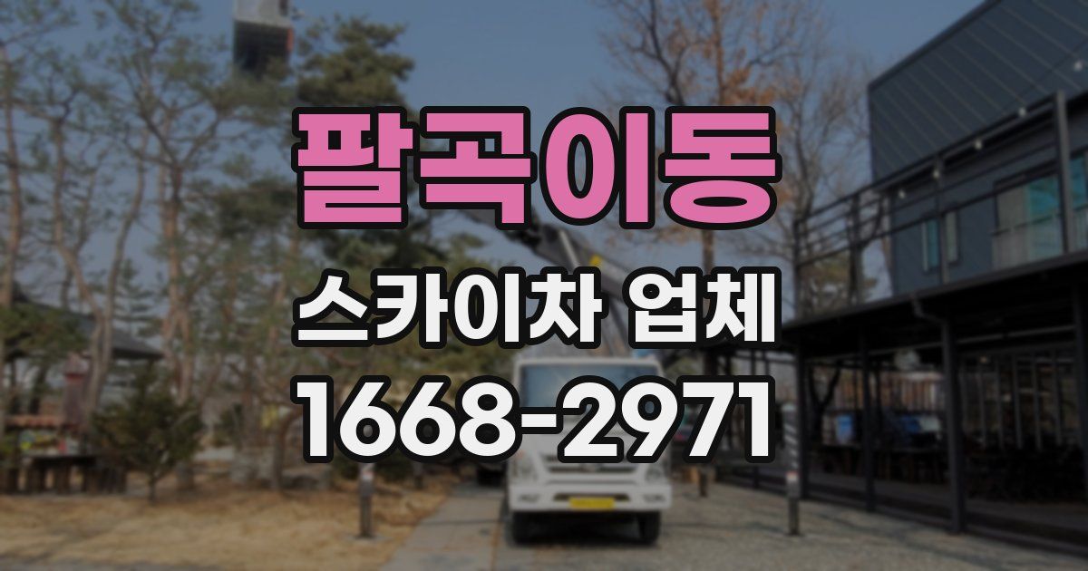 팔곡이동 스카이차 업체