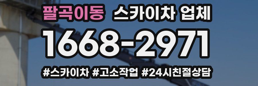팔곡이동 스카이차 업체