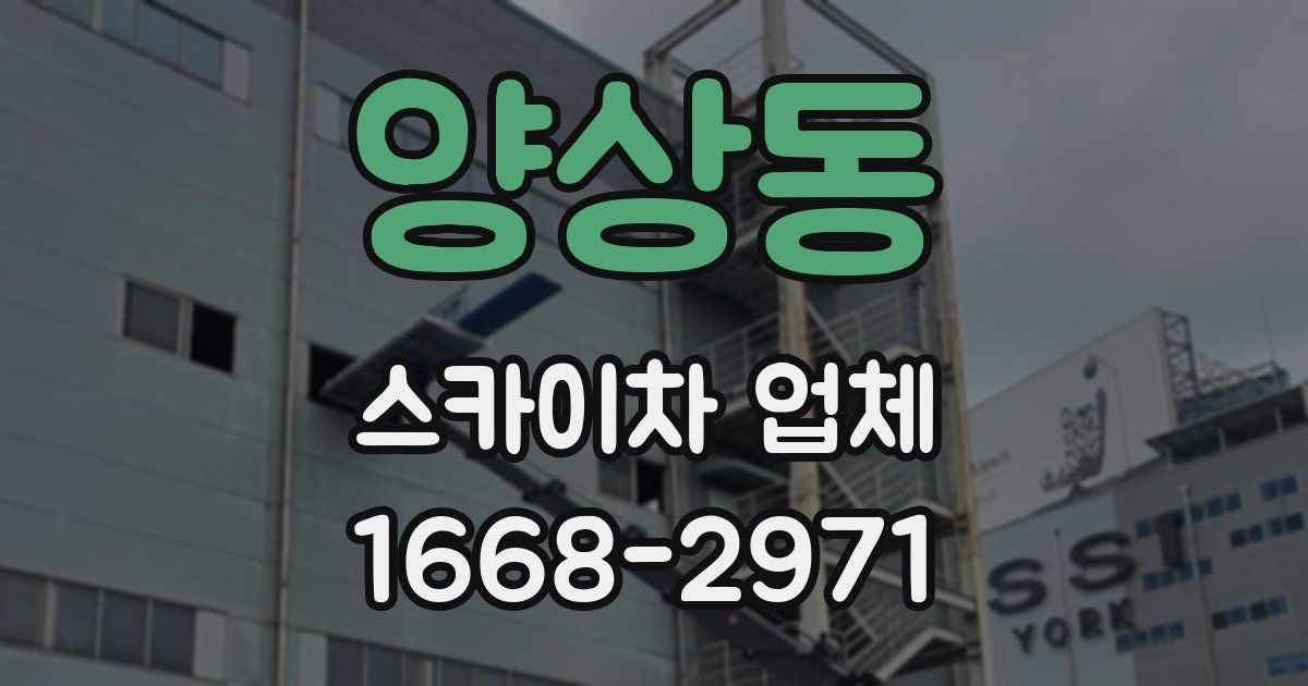 양상동 스카이차 업체