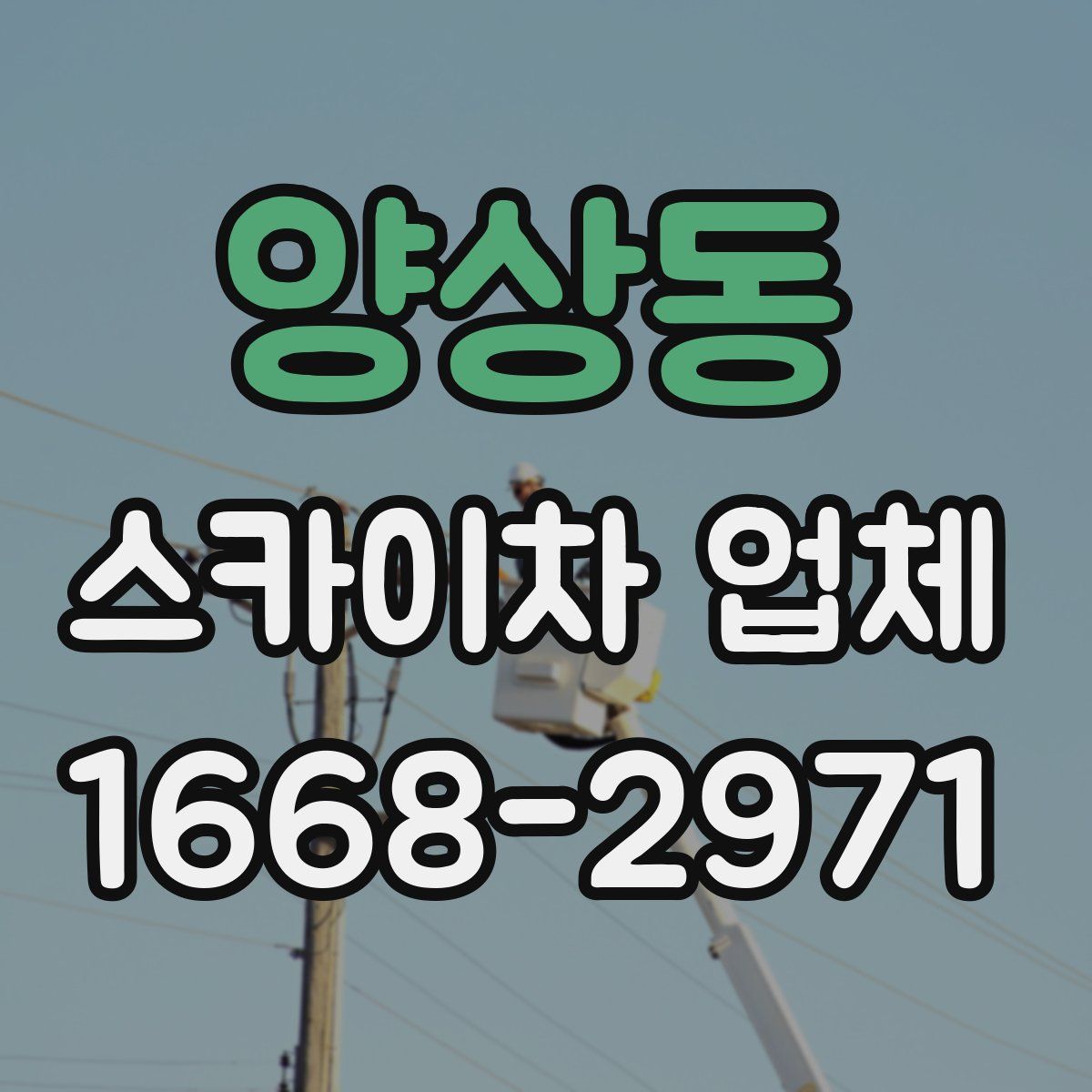 양상동 스카이차 업체