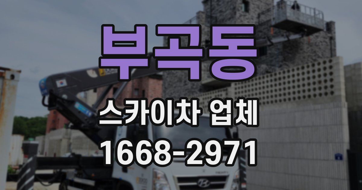 부곡동 스카이차 업체