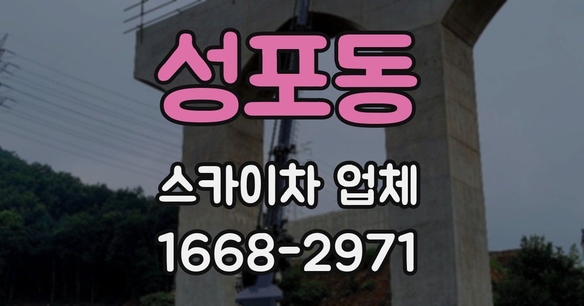 성포동 스카이차 업체