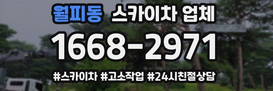 월피동 스카이차 업체