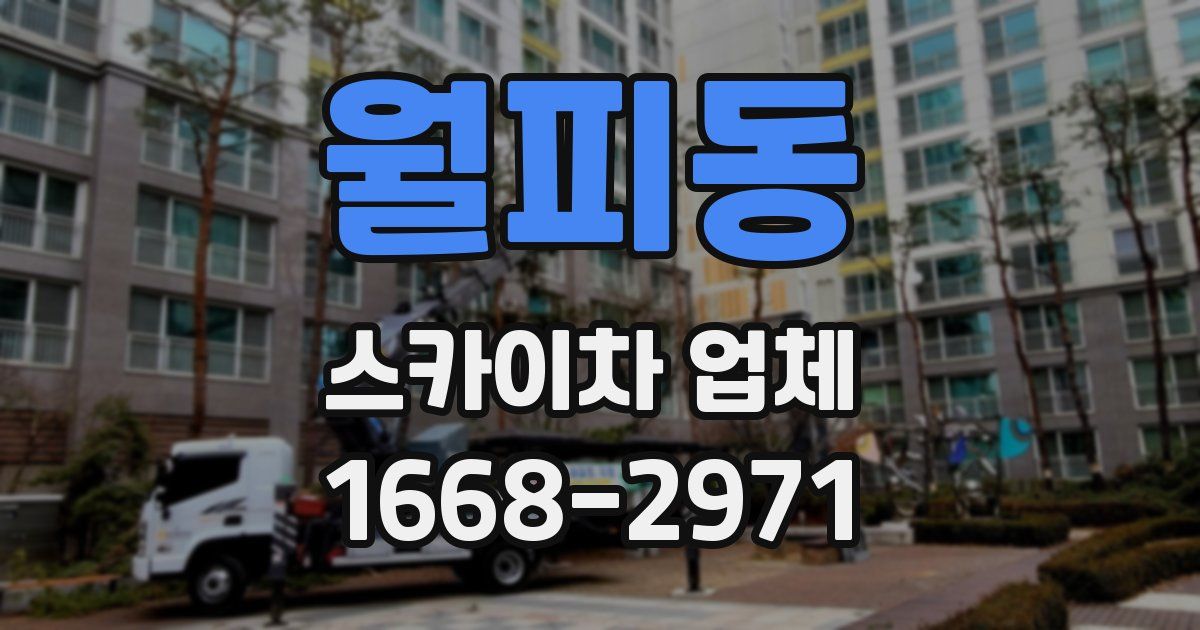 월피동 스카이차 업체