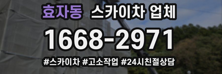 효자동 스카이차 업체