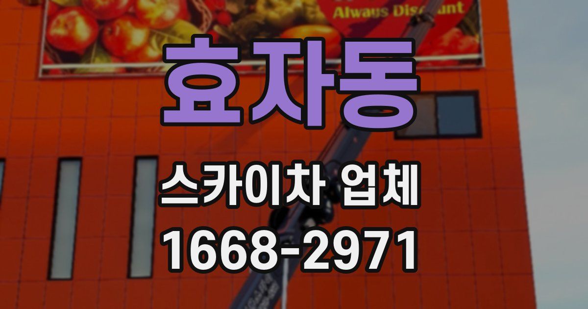 효자동 스카이차 업체