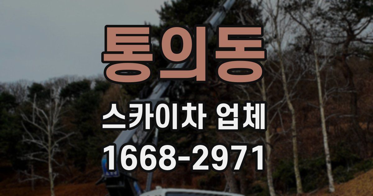 통의동 스카이차 업체