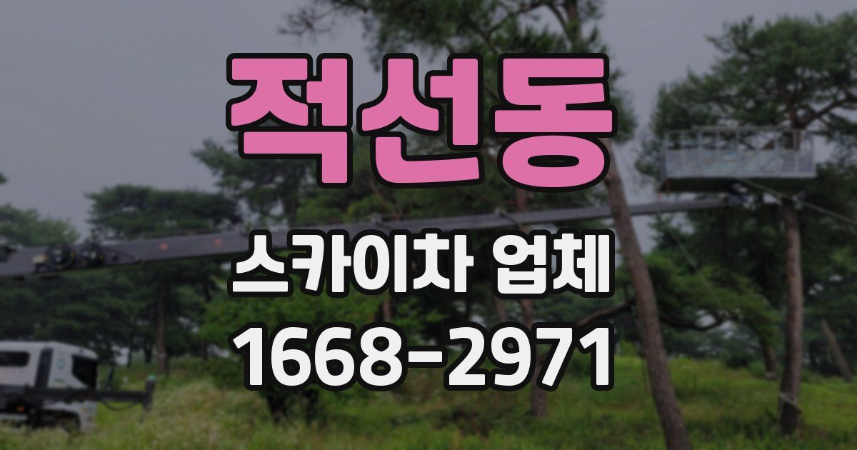 적선동 스카이차 업체