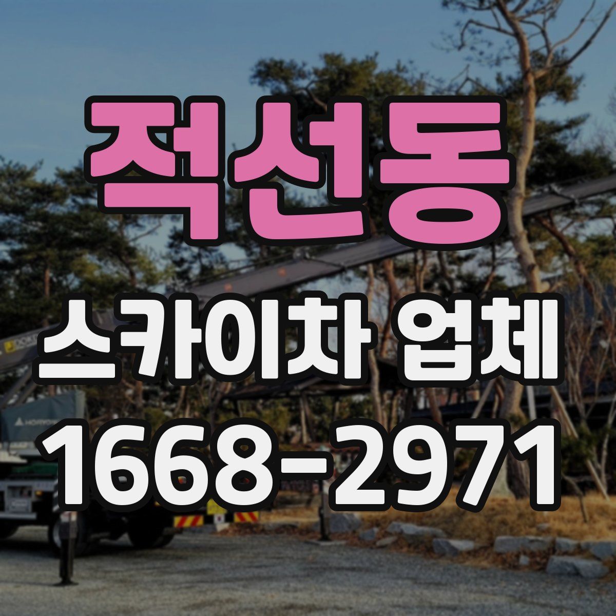 적선동 스카이차 업체