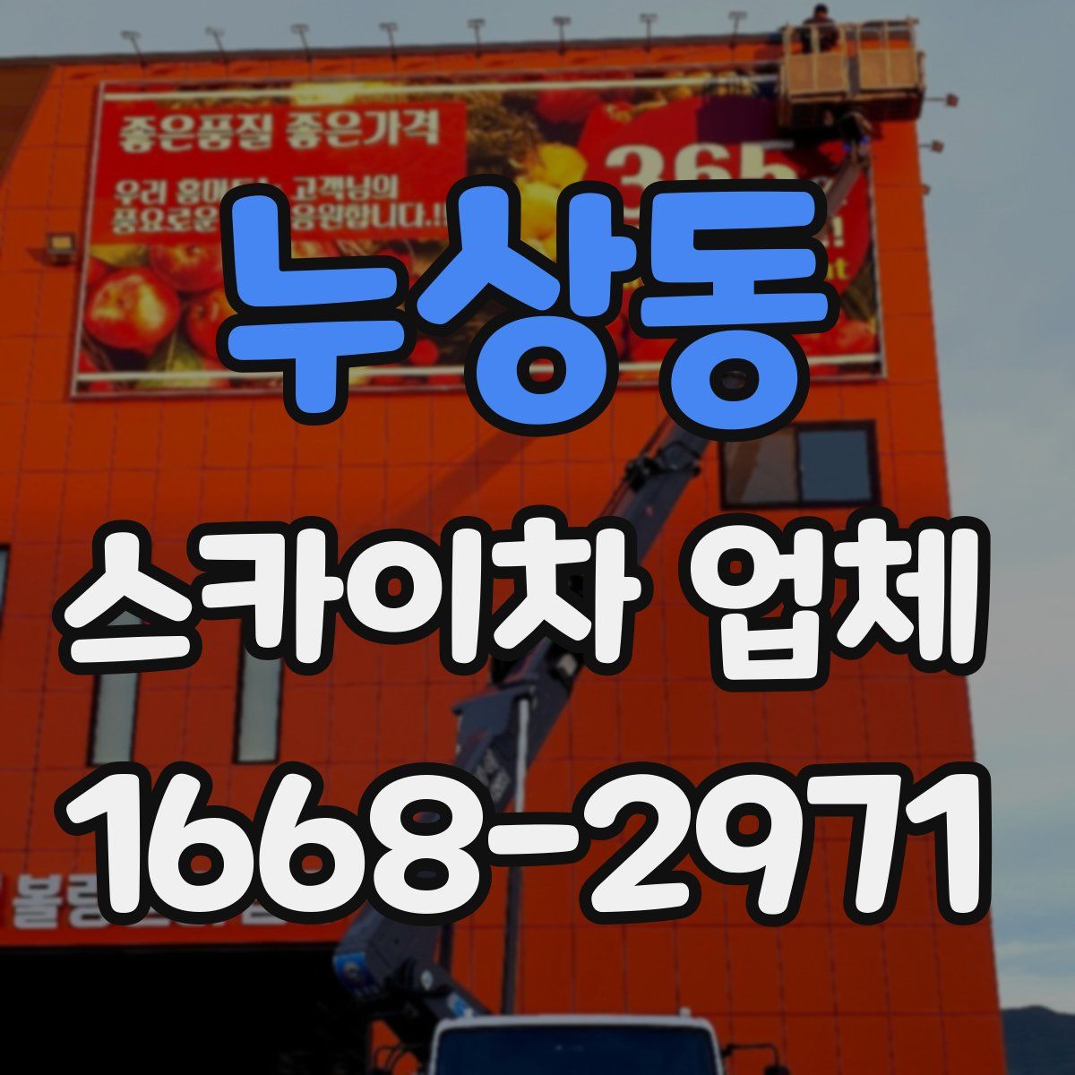 누상동 스카이차 업체