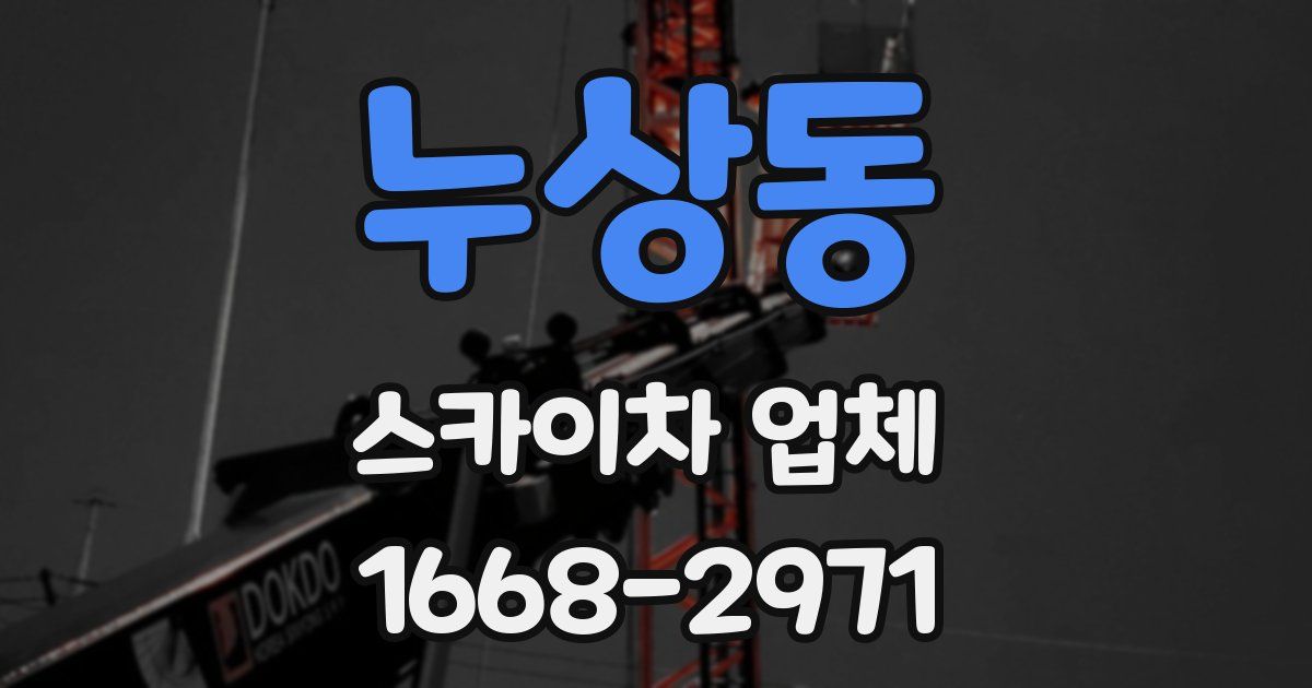 누상동 스카이차 업체