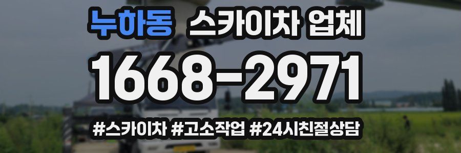 누하동 스카이차 업체