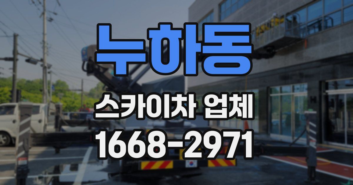 누하동 스카이차 업체