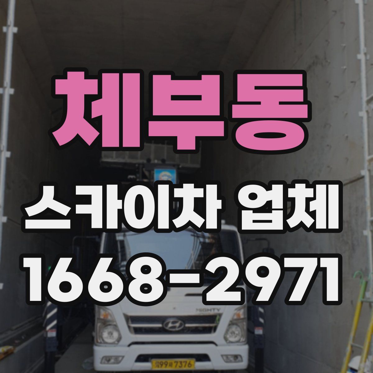 체부동 스카이차 업체