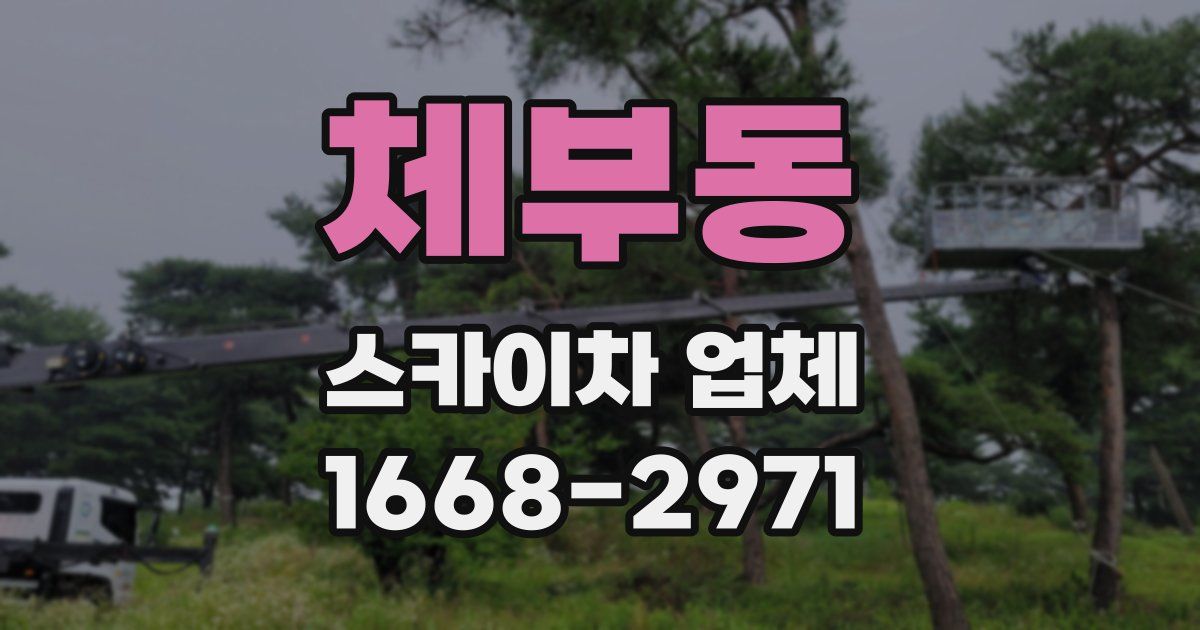 체부동 스카이차 업체