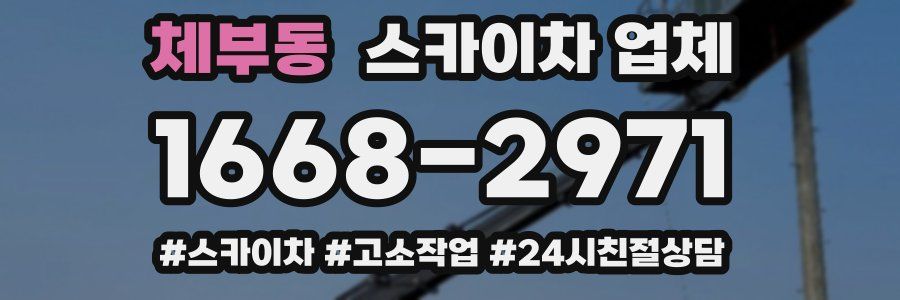 체부동 스카이차 업체