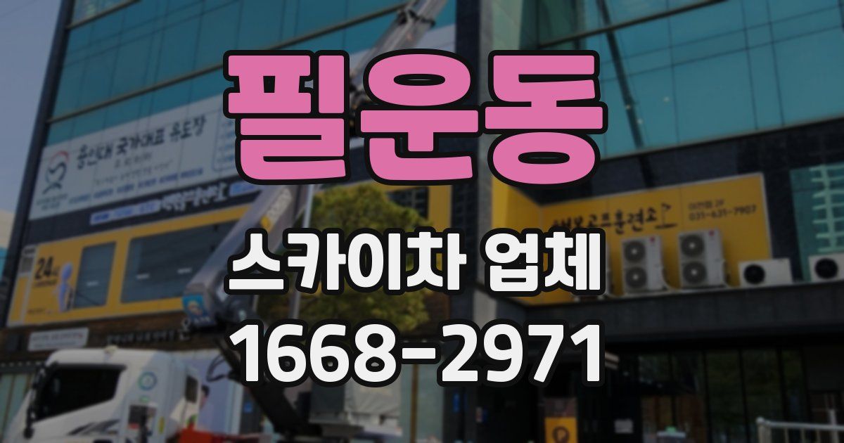 필운동 스카이차 업체